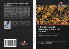 Il Sargassum, il giacimento d'oro dei Caraibi kitap kapağı