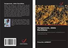 Sargassum, złoto Karaibów的封面