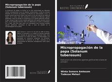 Portada del libro de Micropropagación de la papa (Solanum tuberosum)
