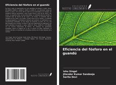 Couverture de Eficiencia del fósforo en el guandú