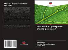 Buchcover von Efficacité du phosphore chez le pois cajan