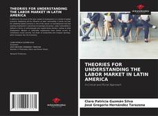 THEORIES FOR UNDERSTANDING THE LABOR MARKET IN LATIN AMERICA的封面