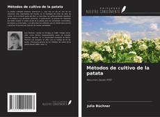 Buchcover von Métodos de cultivo de la patata