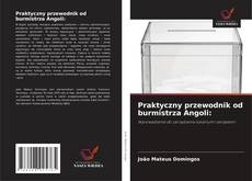Praktyczny przewodnik od burmistrza Angoli: kitap kapağı
