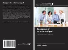 Обложка Cooperación intermunicipal