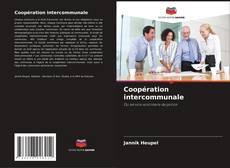 Coopération intercommunale的封面