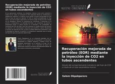 Capa do livro de Recuperación mejorada de petróleo (EOR) mediante la inyección de CO2 en tubos ascendentes 