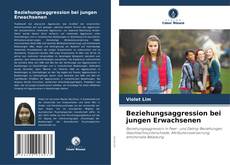 Buchcover von Beziehungsaggression bei jungen Erwachsenen