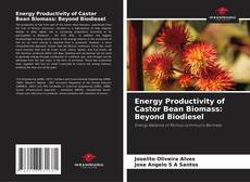 Обложка Energy Productivity of Castor Bean Biomass: Beyond Biodiesel