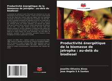 Buchcover von Productivité énergétique de la biomasse de jatropha : au-delà du biodiesel