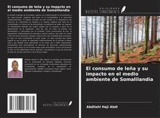 Copertina di El consumo de leña y su impacto en el medio ambiente de Somalilandia