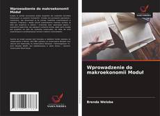 Buchcover von Wprowadzenie do makroekonomii Moduł