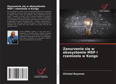 Zanurzenie się w ekosystemie MŚP i rzemiosła w Kongo的封面