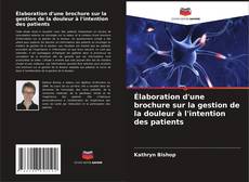 Buchcover von Élaboration d'une brochure sur la gestion de la douleur à l'intention des patients