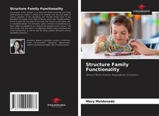 Обложка Structure Family Functionality