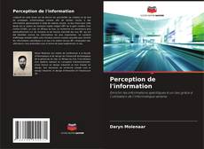 Buchcover von Perception de l'information