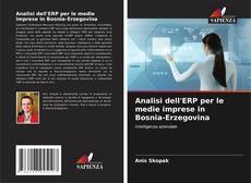 Buchcover von Analisi dell'ERP per le medie imprese in Bosnia-Erzegovina