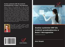 Analiza systemów ERP dla średnich przedsiębiorstw w Bośni i Hercegowinie的封面