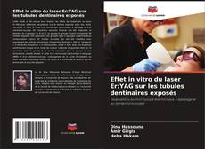Buchcover von Effet in vitro du laser Er:YAG sur les tubules dentinaires exposés
