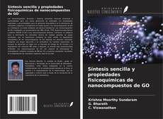 Copertina di Síntesis sencilla y propiedades fisicoquímicas de nanocompuestos de GO