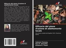 Copertina di Efficacia del piano d'azione di adattamento locale