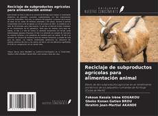 Reciclaje de subproductos agrícolas para alimentación animal kitap kapağı