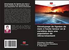 Buchcover von Génotypage de lignées de maïs à haute teneur en β-carotène dans une population de rétrocroisement