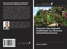 Copertina di Reacción tipo Biginelli modificada con diversas metaloftalocianinas