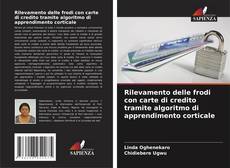 Copertina di Rilevamento delle frodi con carte di credito tramite algoritmo di apprendimento corticale