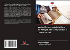 Buchcover von Variabilité des précipitations au Pendjab et son impact sur la culture du blé