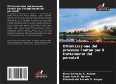Couverture de Ottimizzazione del processo Fenton per il trattamento dei percolati