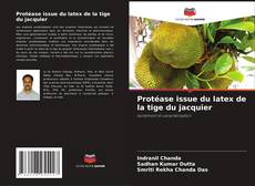 Bookcover of Protéase issue du latex de la tige du jacquier