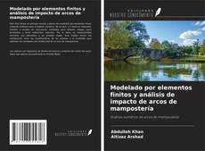 Copertina di Modelado por elementos finitos y análisis de impacto de arcos de mampostería