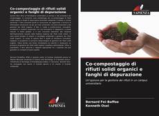 Buchcover von Co-compostaggio di rifiuti solidi organici e fanghi di depurazione