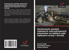 Обложка Zachowanie powłok stalowych natryskiwanych plazmowo na kotłach pod wpływem erozji i korozji