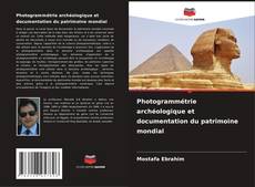Photogrammétrie archéologique et documentation du patrimoine mondial kitap kapağı