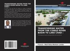 Copertina di TRANSFERRING WATER FROM THE CONGO RIVER BASIN TO LAKE CHAD :