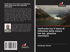 Buchcover von Confronto tra il tasso di infezione della mosca tse tse, glossina morsitans