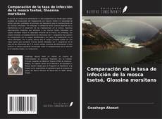 Comparación de la tasa de infección de la mosca tsetsé, Glossina morsitans kitap kapağı