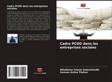 Buchcover von Cadre PCDO dans les entreprises sociales