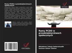 Ramy PCDO w przedsiębiorstwach społecznych的封面
