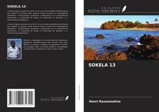 Copertina di SOKELA 13