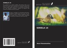 Copertina di SOKELA 14