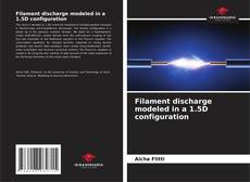 Copertina di Filament discharge modeled in a 1.5D configuration