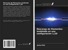 Buchcover von Descarga de filamentos modelada en una configuración 1,5D