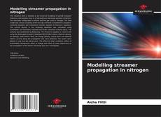 Copertina di Modelling streamer propagation in nitrogen