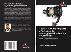 Bookcover of Il contributo del digitale all'estetica del montaggio dei videoclip in Camerun