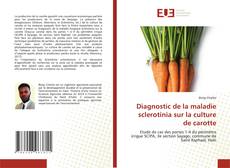 Diagnostic de la maladie sclerotinia sur la culture de carotte的封面