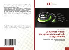 Le Business Process Management au service de la digitalisation的封面