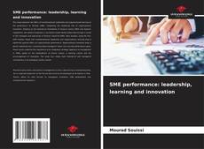 Capa do livro de SME performance: leadership, learning and innovation 
